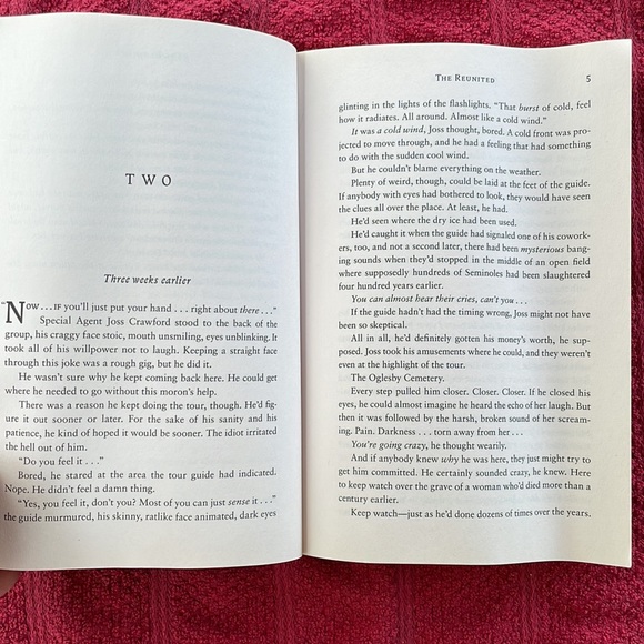 🌈2/$8 The Reunited #3 in The FBI Psychics Series - Picture 10 of 12